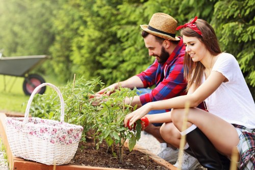 Inclusive Gardeners Noak Hill website accessibility review