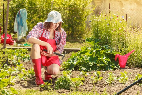 Professional garden maintenance in Noak Hill including hedge trimming and lawn care
