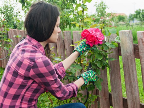 Well-kept Noak Hill garden with expert local care