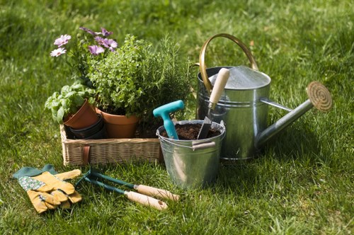 Seasonal hedge maintenance in a Noak Hill residential garden