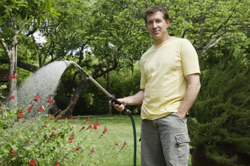 Healthy green lawn care in Noak Hill garden
