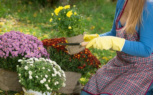 Seasonal lawn treatment in Noak Hill
