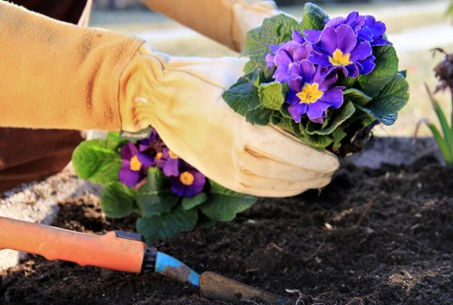 Professional gardening services in Noak Hill for tidy residential gardens