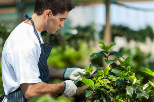 Professional garden waste removal and clearing in Noak Hill