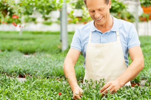 Professional grass cutting in a Noak Hill residential garden