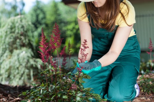 Heavy overgrowth removal during garden clearance in Noak Hill