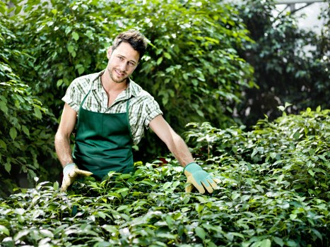 Garden clearance and planting support from Noak Hill gardeners