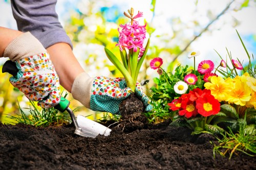 Local Noak Hill gardeners improving a residential outdoor space