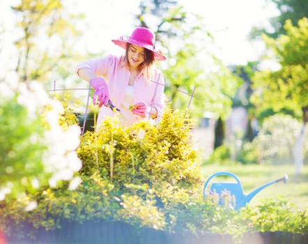 Gardener shaping a hedge for a clean finish in Noak Hill