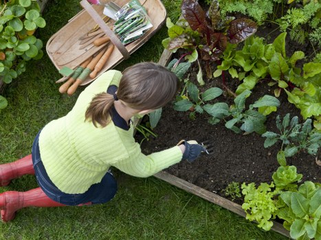 A safe and insured gardener assessing outdoor risks
