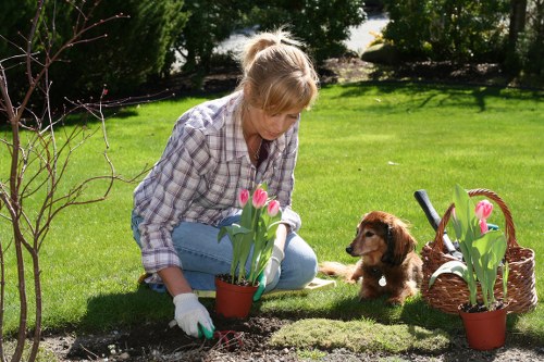 Planned landscape gardening in Noak Hill with seating and planting