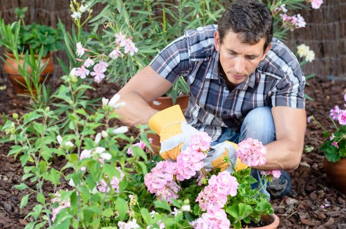 Seasonal garden maintenance by gardeners in Noak Hill