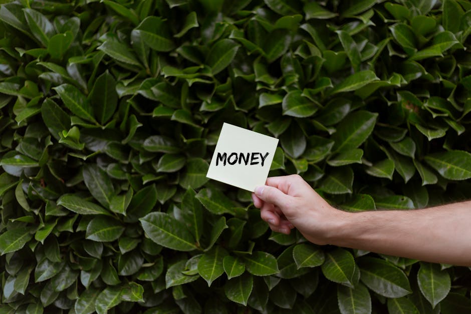 Avoid hidden costs when booking gardeners in Noak Hill
