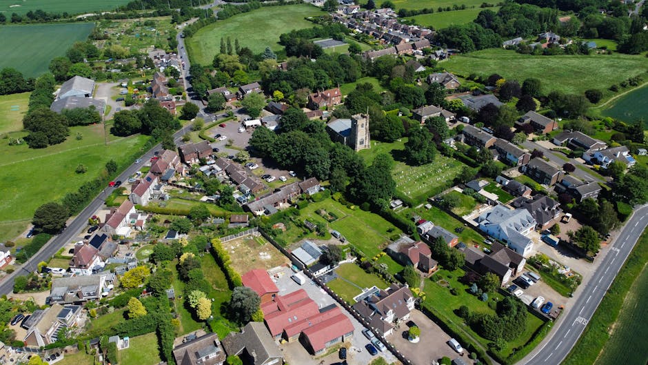 An aerial view of a residential area showing a main road lined with parked cars and houses with garden front yards, bordered by a large green common area with a variety of deciduous trees displaying f